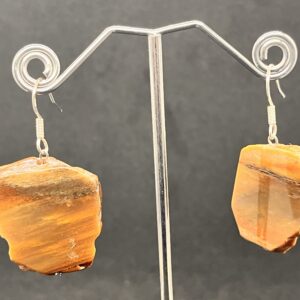 Versteinertes Holz, 925er Silberhaken